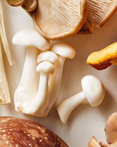 How Mushroom Cultivation Techniques Can Affect Market Prices